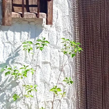 Casa Juanillo Holiday home Miller